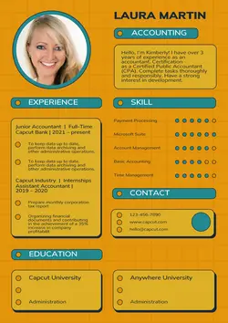 Business Resume Accounting