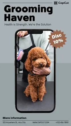 Grooming Haven Instagram Story