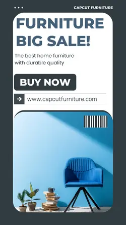 Household Furniture & Accessories For Sale 
