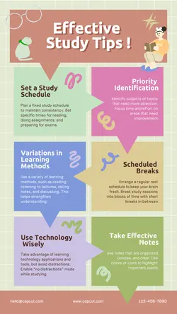 Non-Marketing Infographic Education Effective Study Other
