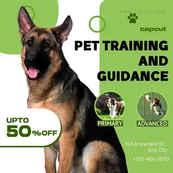   Pet & Training Introduction Minimalist