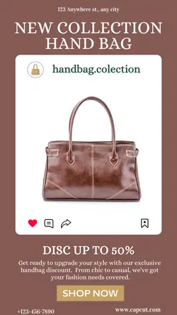 Fashion Handbag Promotion Instagram Story