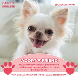 Pet Dog Services Instagram Post