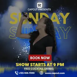 Instagram Post - Concert