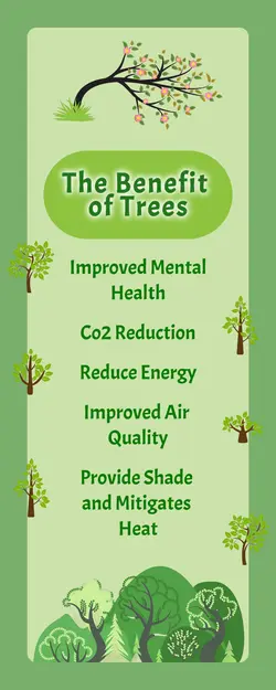 Non-marketing Infographic Benefit Of Trees