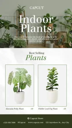 House Decoration Best Selling Product Display Instagram/Tiktok Post