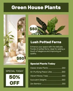 Household Green House Plants Display