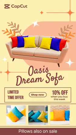 Furniture - Sofa and Pillow Sale