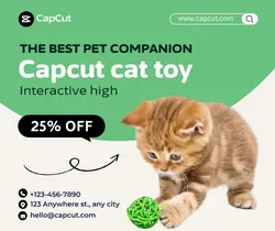 Pet Cat toy Event promotion Business