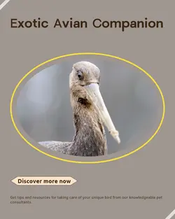 Pet industry General