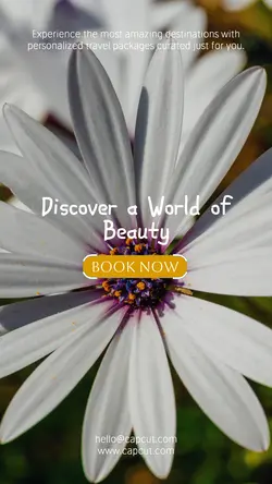 Travel industry General