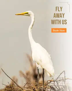 Travel industry General