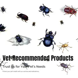 Pet industry Social Cards