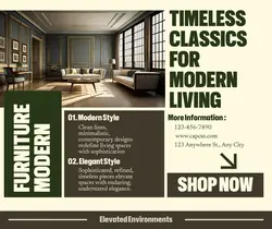 Furniture Modern Product Display