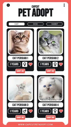 PET SERVICE ADOPT UI