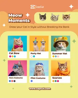 Pet Services Cat Clothing Promotion Instagram Portrait