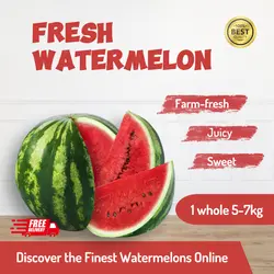 E-commerce Food Fruit Watermelon Hero Images