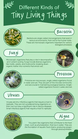 Non-marketing Infographics Green Tiny Living Thing