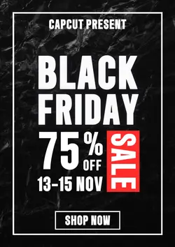 Black Friday Promotion Sale 