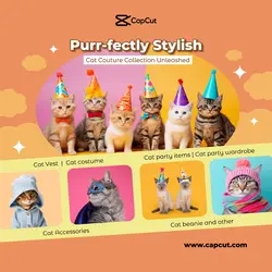 Pet Services Cat Clothing Promotion