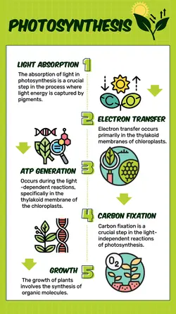 Non-marketing Infographics Green
