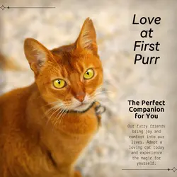 Pet industry General