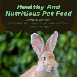 Pet industry Effect Display