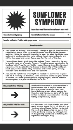 Non-marketing Sunflower Biology Black Minimalist