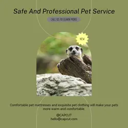 Pet industry Product Display