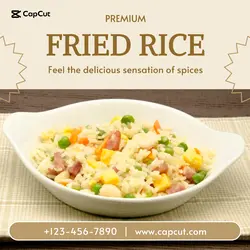 Premium Fried Rice Promotion for Instagram Post