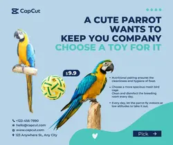 Pet supplies sharing Pet toys show simple style