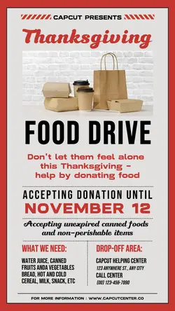 Minimalist Thanksgiving Donation Instagram Story