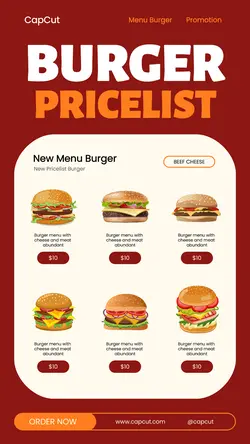 Burger Pricelist Illustration Instagram Story
