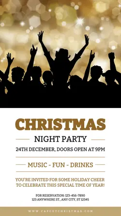 Christmas Night Party Instagram Story
