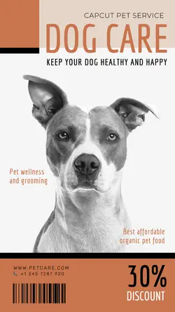PET SERVICE PROMOTION INSTAGRAM STORY 