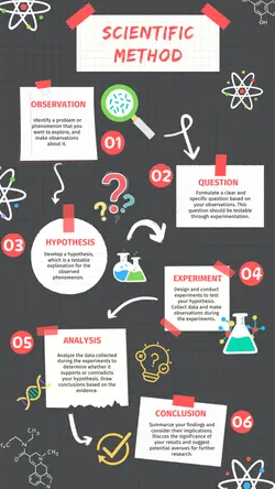 Non-marketing Infographics Scientific Method