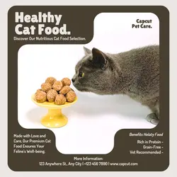 Healthy Cat Food Promotion Instagram Post