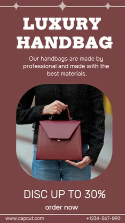 fashion handbag discount instagram story