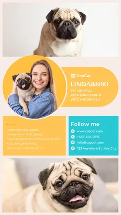 Pet supplies Personal morning show simple style