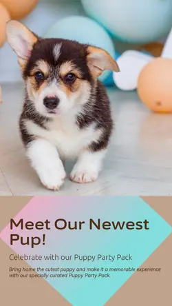 Pet industry New arrivals