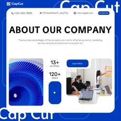 Business company description functional style   