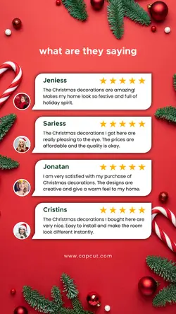Customer Feedback Christmas Product Instagram Story