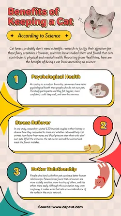 Non-Marketing Infographic Science Cat Orange Yellow Green Other