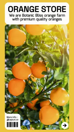Orange Store Product Display Instagram Story Yellow MInimalist