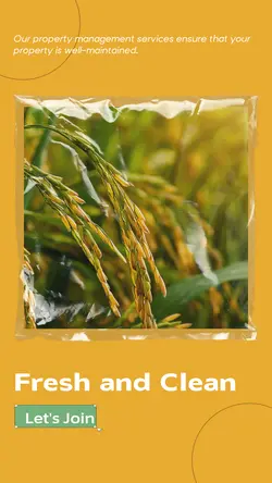 Services Sales Promotion