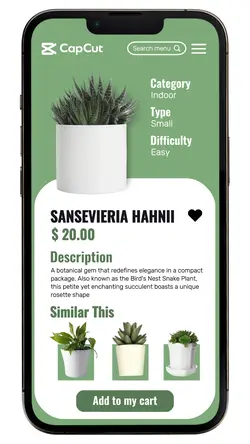 household plant house product display 