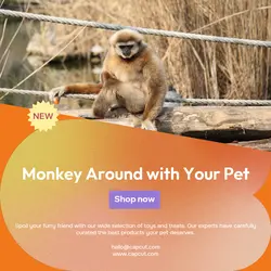 Pet industry General