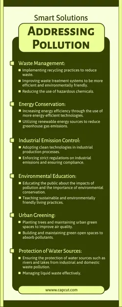 Infographic Smart Solutions Pollution Rounded Point