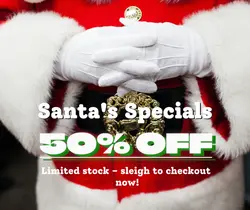 Christmas Sale Post