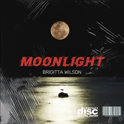 Album cover moonlight minimalist black